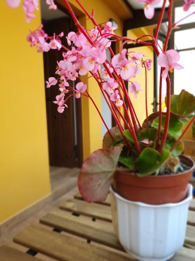 Appartement Vados - La Colina à Arnuero Extérieur photo